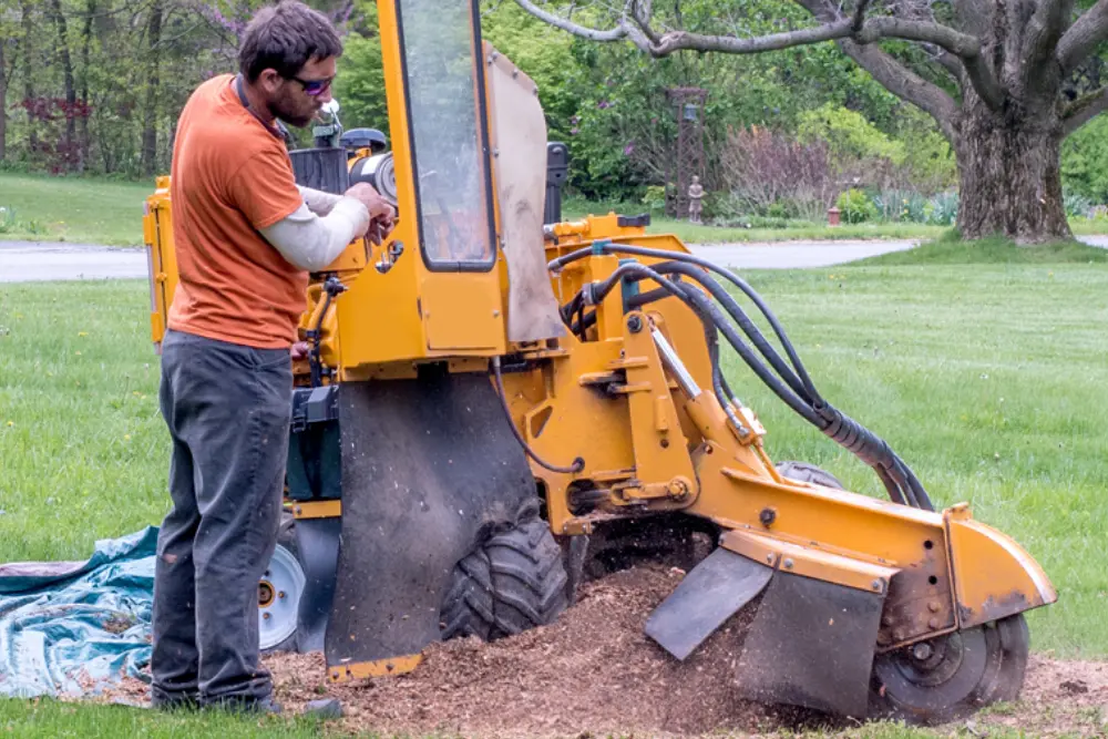 Fairfax stump grinding